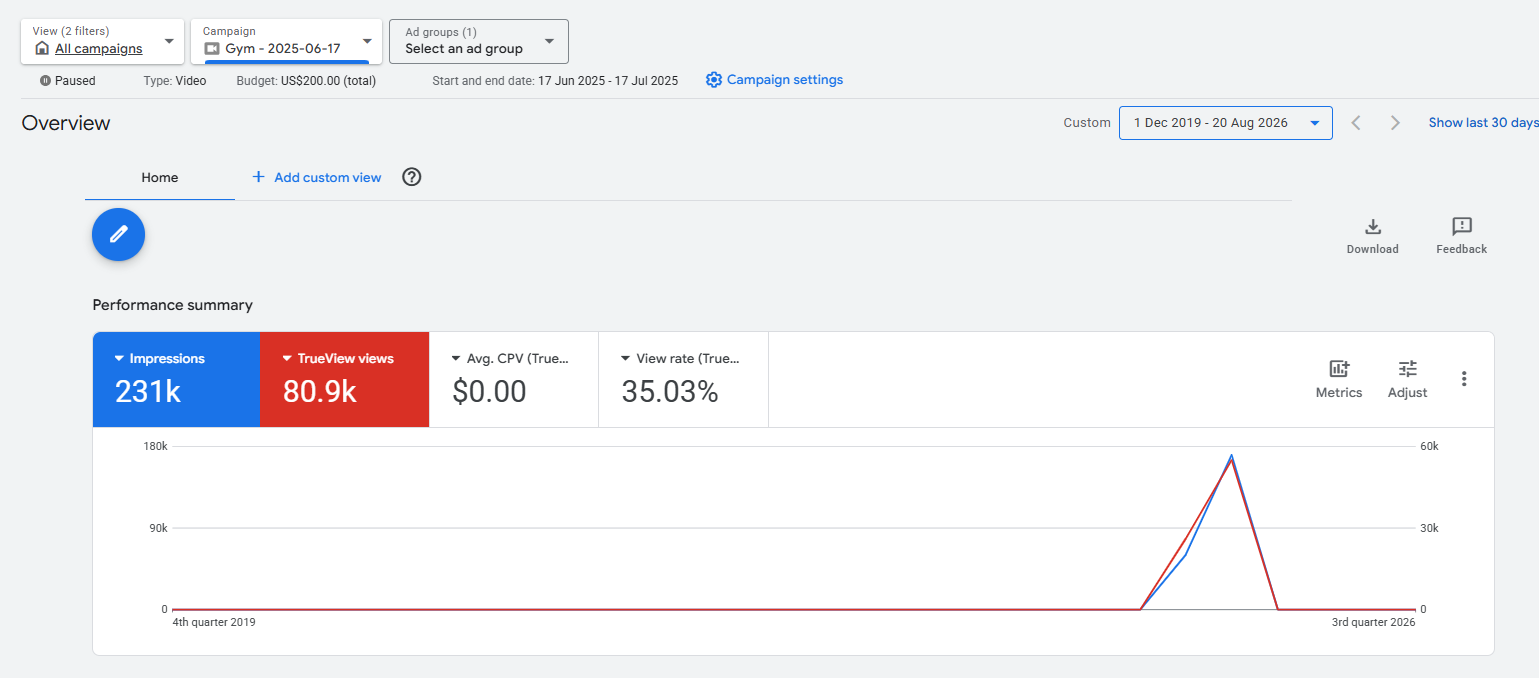 Google Ads video campaign results for Bermuda College Gym program, 80.9k TrueView views